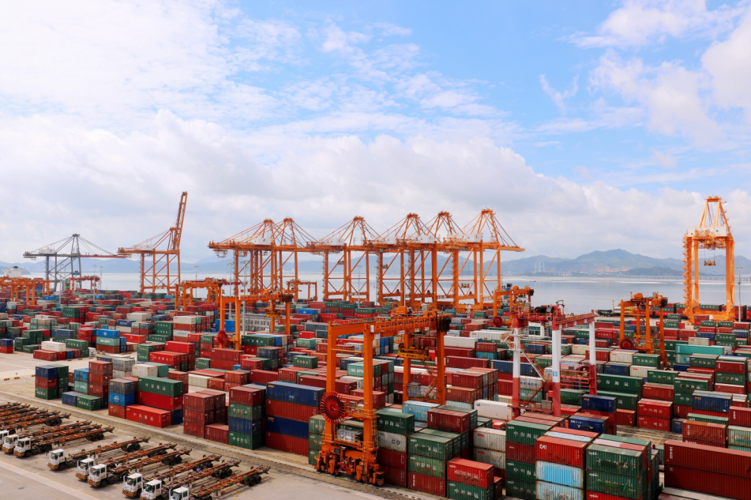 国内海运免柜期通常有几天，海运滞箱费是什么？