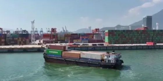 国内海运，内贸集装箱海运收费全解析！